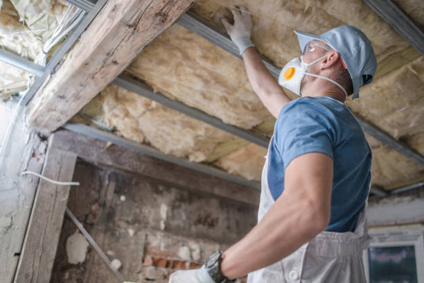 Best Insulation for Specific Applications in Walnut Park, CA